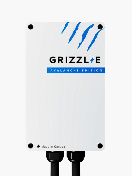 File:Grizzl-E Classic GR1-14-24-AB.jpg