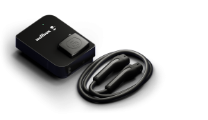 Wallbox - Copper SB.png